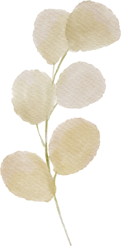 Watercolor Decorative Branch Illustration